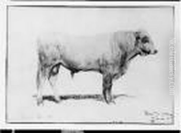 Taureau Crayon, Aquarelle Oil Painting by Rosa Bonheur