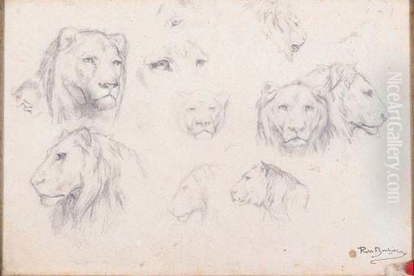 A Study Of A Lion's Head Oil Painting by Rosa Bonheur