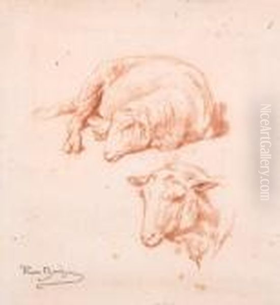 A Study Of A Sheep Oil Painting by Rosa Bonheur