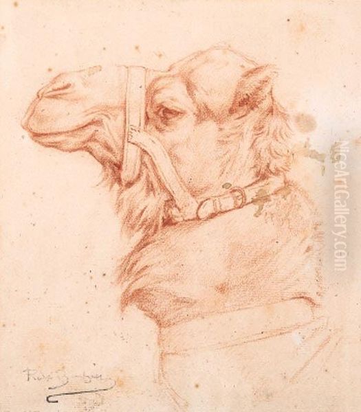 The Head Of A Camel Oil Painting by Rosa Bonheur