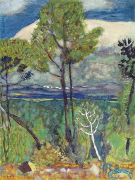 Les Pins, Bord De Mer Oil Painting by Pierre Bonnard