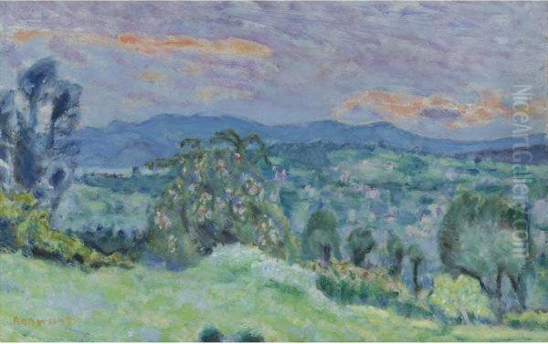 Paysage De Saint-tropez Oil Painting by Pierre Bonnard