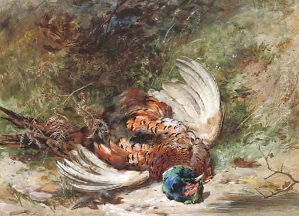 A shot pheasant Oil Painting by James Hardy Jnr