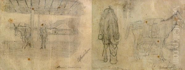 Sketches Of Horses Oil Painting by John Edward Borein