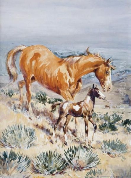 The Pinto Foal Oil Painting by John Edward Borein