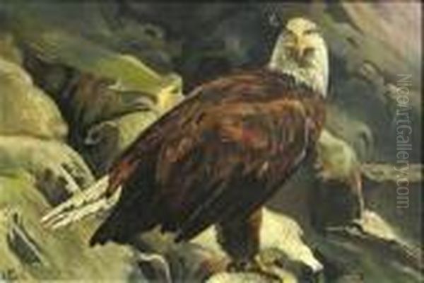 Bald Eagle Oil Painting by John Edward Borein