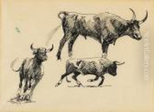 Studies Of Steers And Horses (a Group Of Four) Oil Painting by John Edward Borein