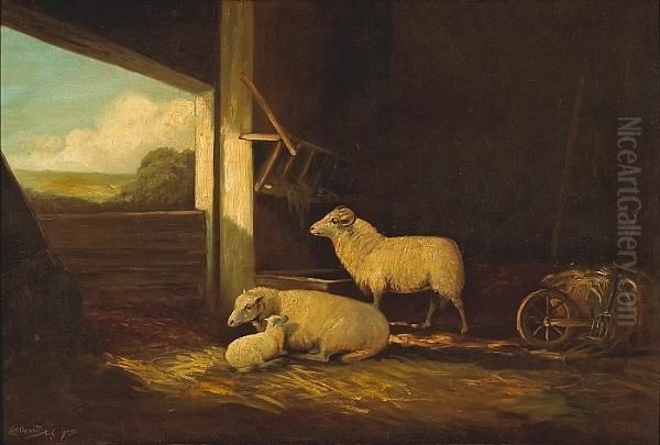 Barnyard Sheep Oil Painting by Carl Oscar Borg