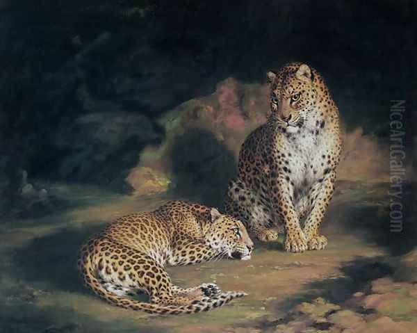 A Pair of Leopards Oil Painting by William Huggins