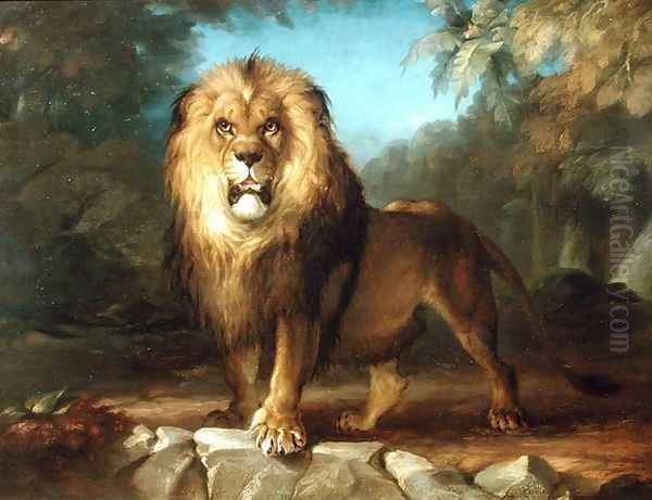 A Lion Oil Painting by William Huggins