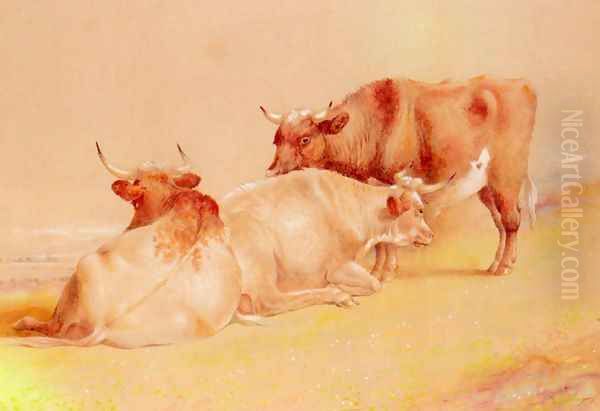 Cattle Resting (1 of 2) Oil Painting by William Huggins