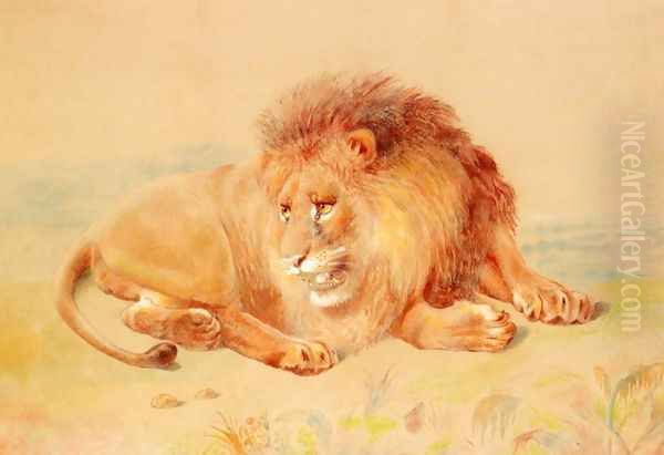 Lion Oil Painting by William Huggins