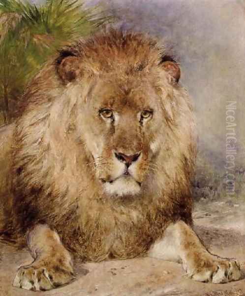 Lion 2 Oil Painting by William Huggins