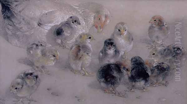 Study of Chickens Oil Painting by William Huggins