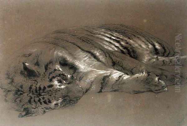 A Sleeping Tiger Oil Painting by William Huggins