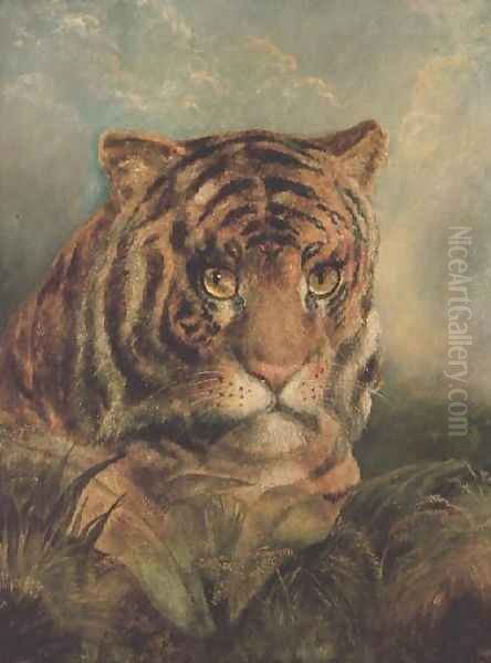 Tiger Oil Painting by William Huggins