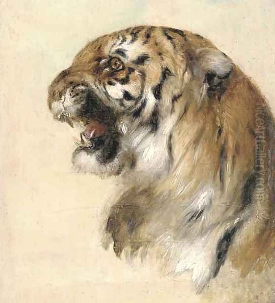 A Bengal tiger 2 Oil Painting by William Huggins