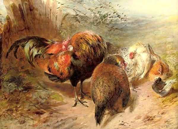 Chickens Oil Painting by William Huggins