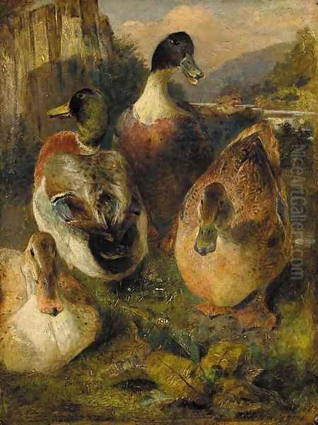 Study of Mallards Oil Painting by William Huggins