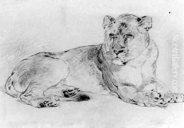 A lioness Oil Painting by William Huggins