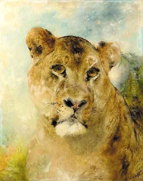 Head of a Lioness Oil Painting by William Huggins