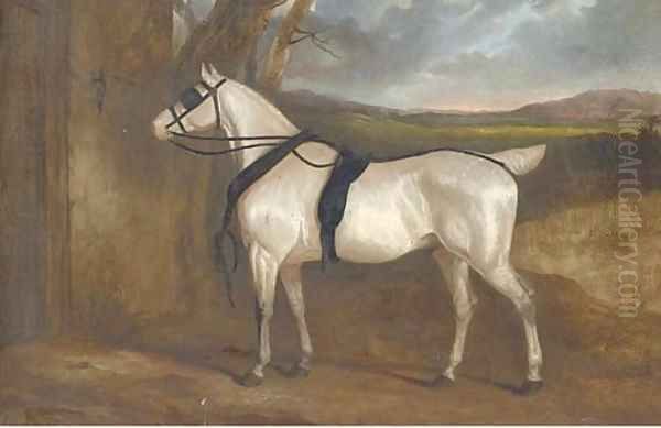 A grey carriage horse Oil Painting by Charles Hancock