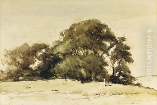 A Group Of Trees In The Dunes Near Wassenaar Oil Painting by Johannes Bosboom