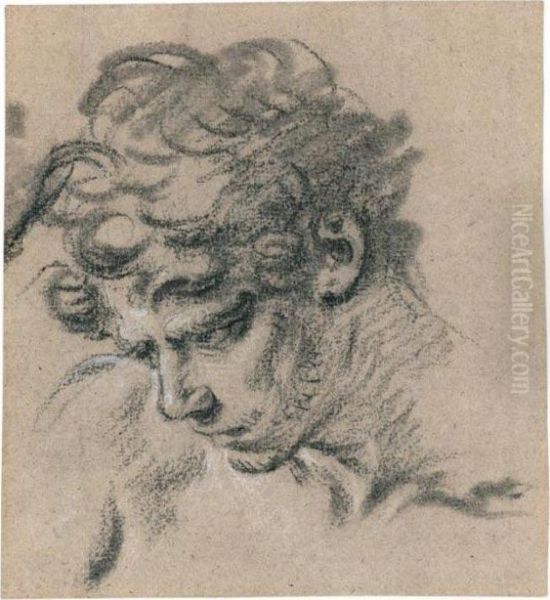 Head Of A Young Man, Looking Down To The Left Oil Painting by Francois Boucher