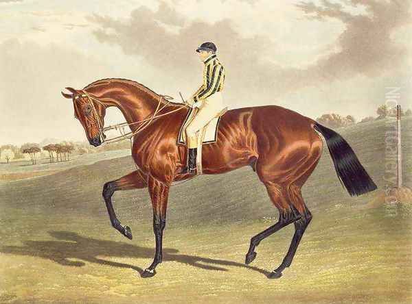 Bay Middleton winner of the Derby in 1836 Oil Painting by John Frederick Herring Snr