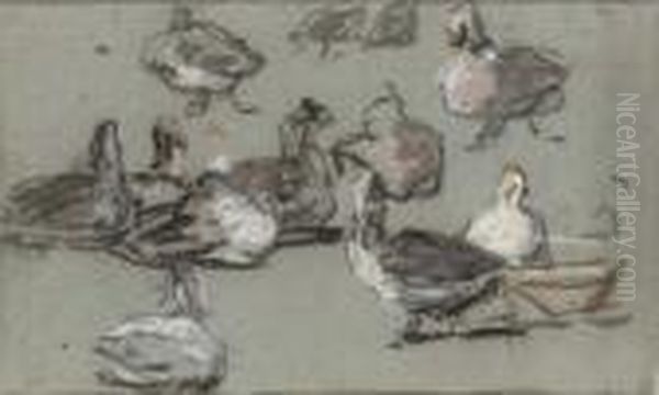 Groupe De Canards Oil Painting by Eugene Boudin