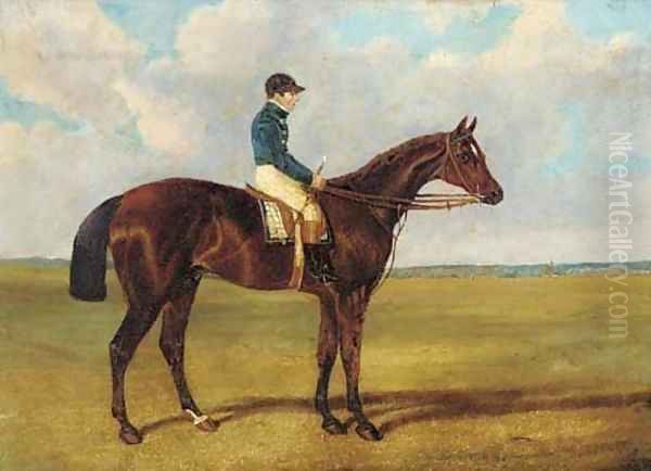 A bay racehorse with jockey up Oil Painting by John Frederick Herring Snr