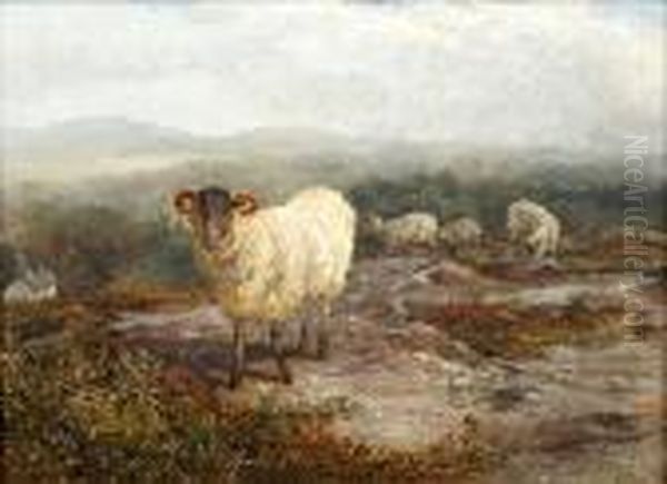 Black Face Mountain Ram Oil Painting by Samuel Bough