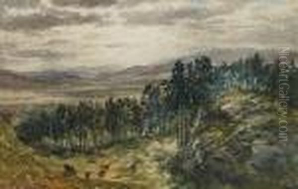 Wooded Hillside Oil Painting by Samuel Bough