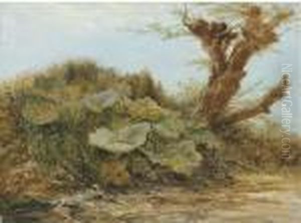 Study Of A Butter Burr And A Pollarded Willow Oil Painting by Samuel Bough