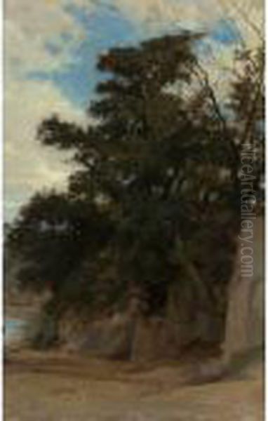 Trees In A Coastal Landscape Oil Painting by William-Adolphe Bouguereau