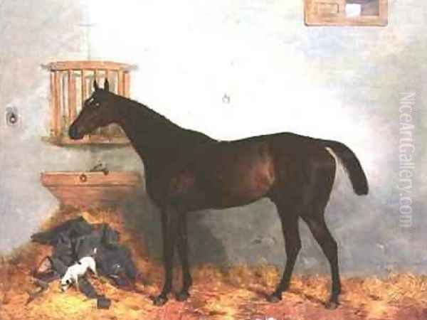 Thoroughbred in a Stable Oil Painting by Harry Hall