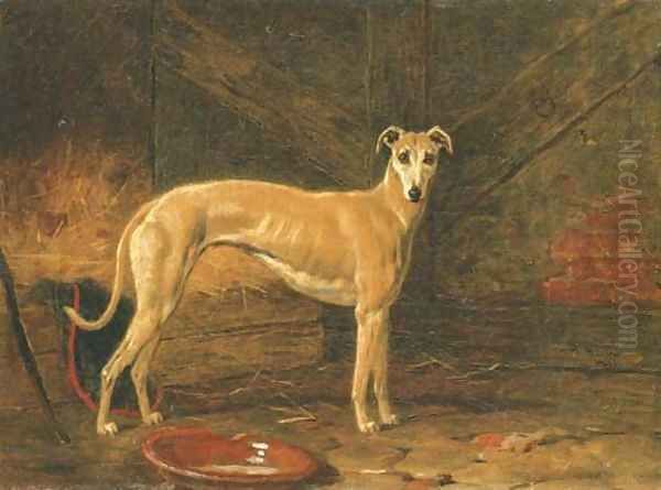 Coomassie, winner of The Waterloo Cup in 1877 and 1878 Oil Painting by Harry Hall