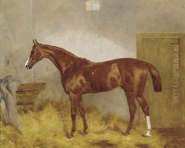 Cymbal, a chestnut racehorse in a stable Oil Painting by Harry Hall