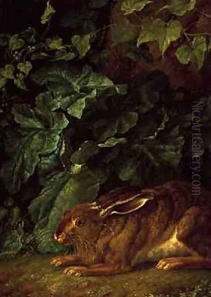 A Hare in Undergrowth Oil Painting by Filippo Hackert