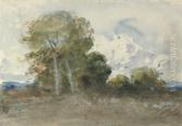 Homage To David Cox Oil Painting by Hercules Brabazon Brabazon