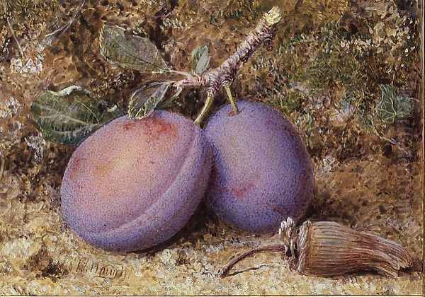 Plums and a cob nut Oil Painting by William B. Hough