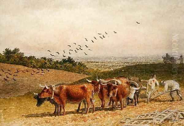 Oxen Ploughing a Downland Field Oil Painting by Robert Hills