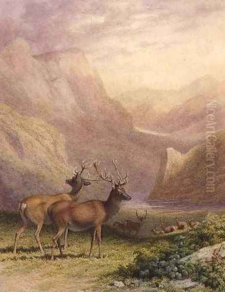 Deer in the Highlands Oil Painting by Robert Hills