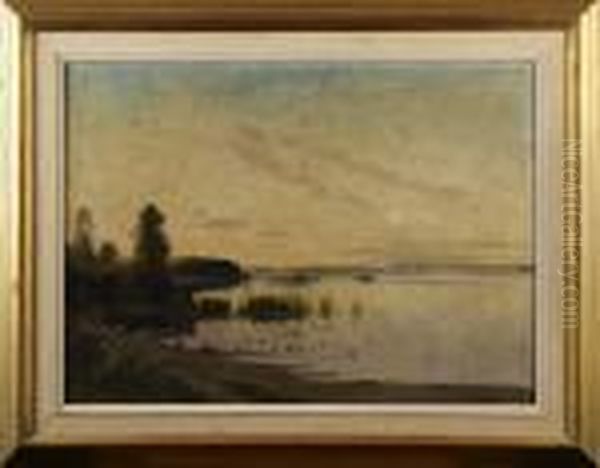 Insjolandskap Med Vassrugg Oil Painting by Carl Brandt