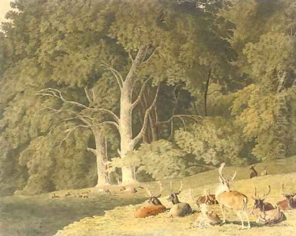 A herd of deer resting in a glade Oil Painting by Robert Hills