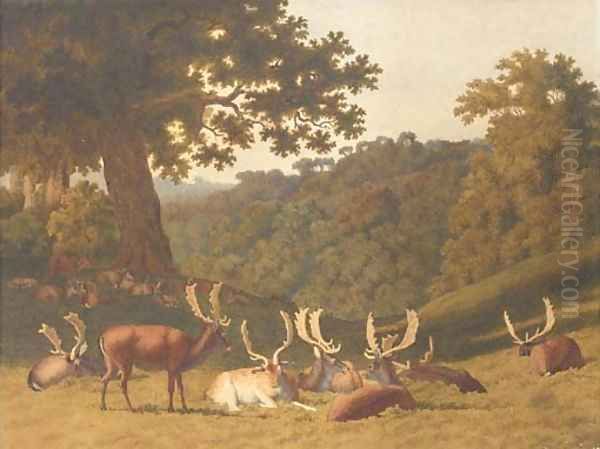 Stags and hinds resting in a parkland landscape Oil Painting by Robert Hills