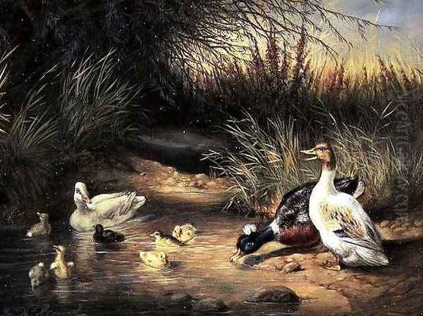 Ducks Drake and Ducklings Oil Painting by Ewald Honnef