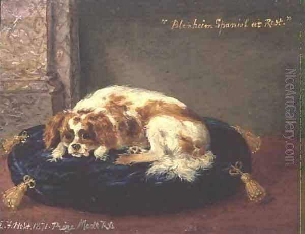 Blenheim Spaniel at Rest Oil Painting by Edwin Frederick Holt