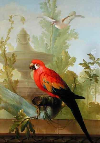 A Macaw and a Dove in an ornamental Garden Oil Painting by Gerrit van den Heuvel