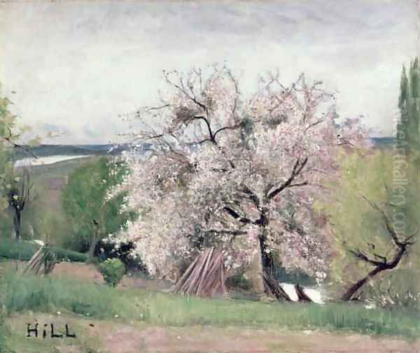 Fruit Tree in Blossom Bois le Roi Oil Painting by Carl Fredrik Hill